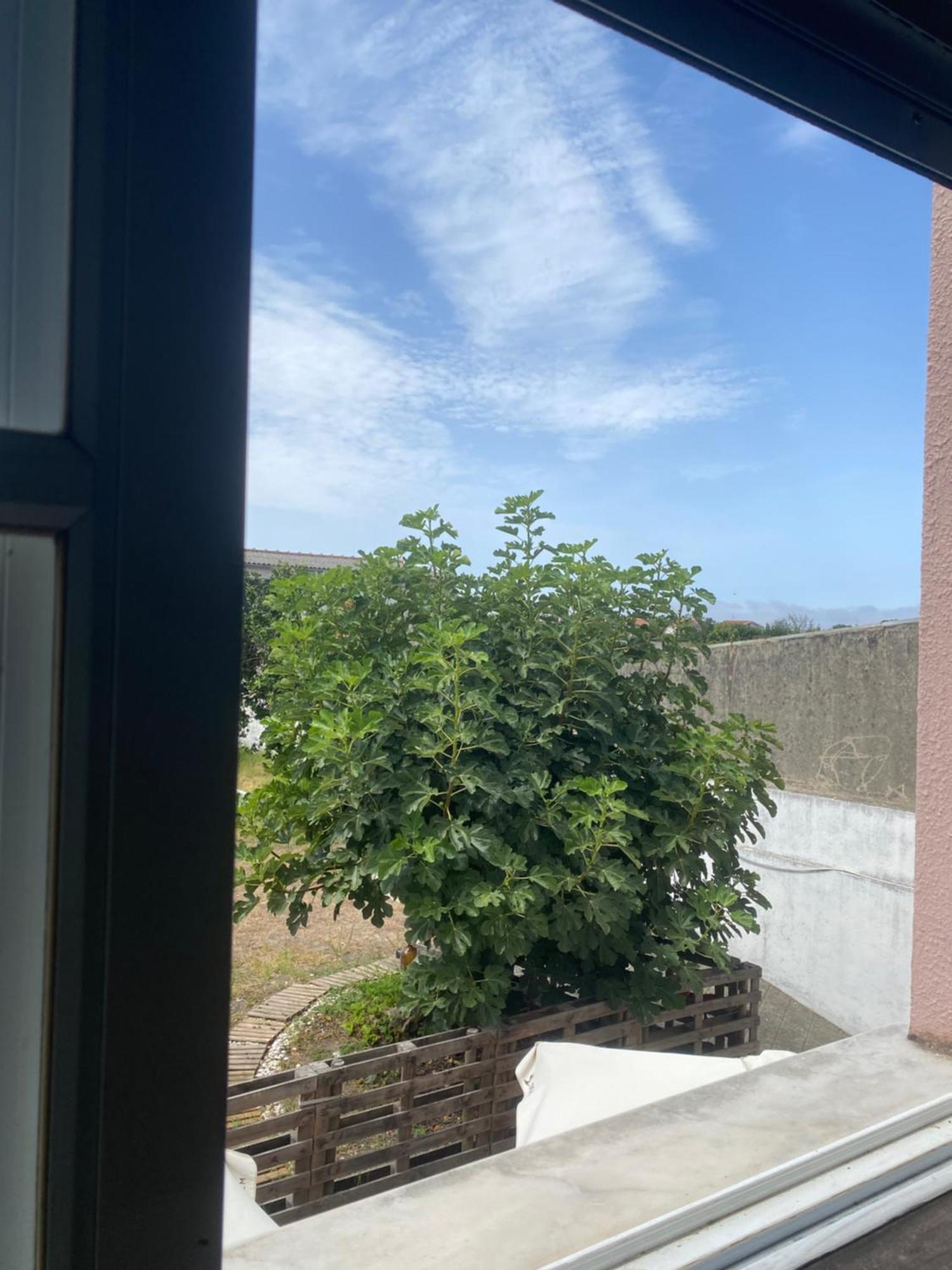 Garden Hostel Aradas Zewnętrze zdjęcie